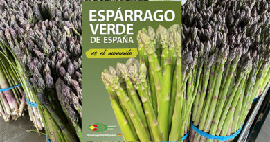 El campo español ya está produciendo espárrago verde de máxima calidad<br/><span style='color: #077dbc;font-size:65%;'>La Interprofesional de Espárrago Verde de España representa el 96% de la producción del sector y el 90% de la comercialización</span>